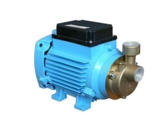 Поверхневий насос Водолій БВН 0.32-35 У1.1 замовити в «Клімат Технології» Київ Україна