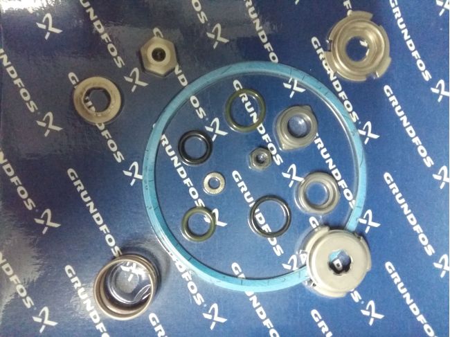 Уплотнения вала AQQE/V  CM 10/15/25  96932394 заказать в «Климат Технологии» Киев Украина