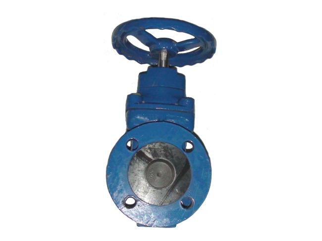 Засувка з гумованим клином фланцева Ду 50 замовити в «Клімат Технології» Київ Україна