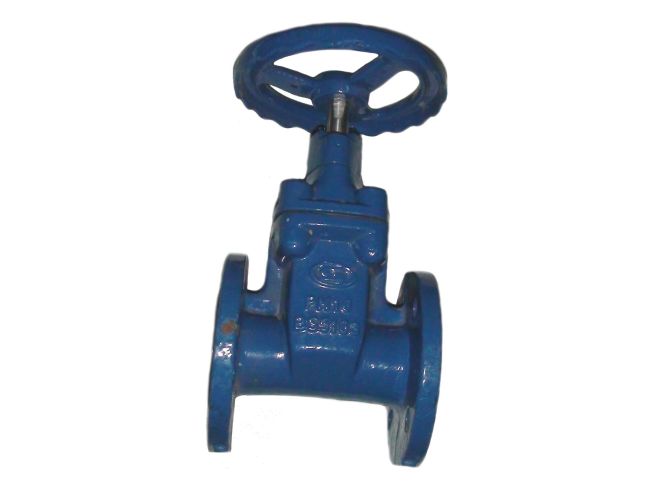 Засувка з гумованим клином фланцева Ду 50 замовити в «Клімат Технології» Київ Україна