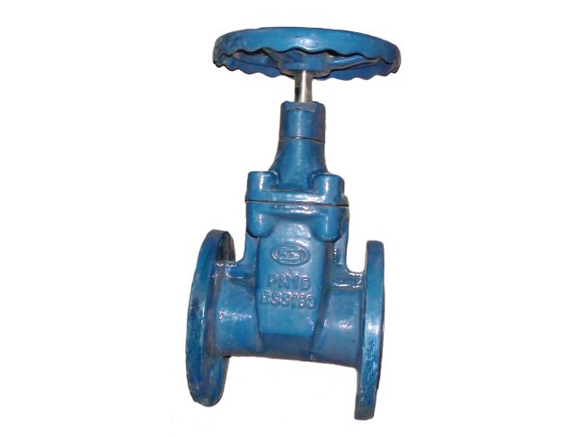 Засувка з гумованим клином фланцева Ду 65 замовити в «Клімат Технології» Київ Україна