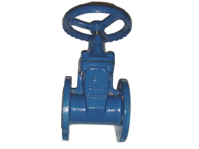 Засувка з гумованим клином фланцева Ду 80 замовити в «Клімат Технології» Київ Україна