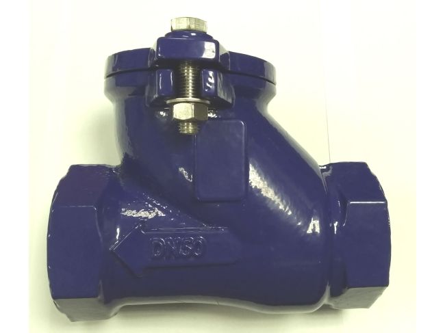 Клапан обратный резьбовой Brandoni DN50 T7.100050FFB заказать в «Климат Технологии» Киев Украина